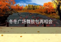 冬冬广场舞敖包再相会