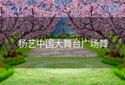 杨艺中国大舞台广场舞