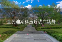 全民迪斯科玉玲珑广场舞