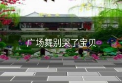 广场舞别哭了宝贝