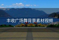 丰收广场舞背景素材视频