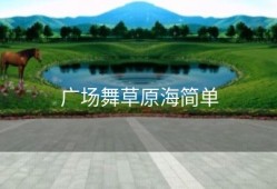 广场舞草原海简单