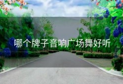 哪个牌子音响广场舞好听