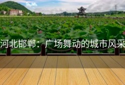 河北邯郸：广场舞动的城市风采