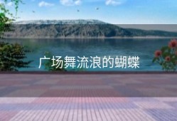 广场舞流浪的蝴蝶