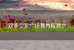 双手交叉广场舞教程教学