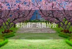 紫阳县广场舞协会