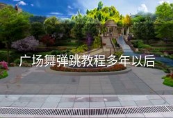 广场舞弹跳教程多年以后