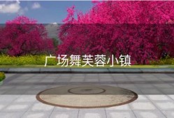 广场舞芙蓉小镇