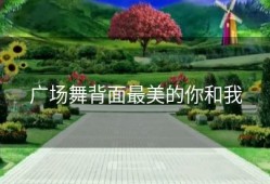 广场舞背面最美的你和我