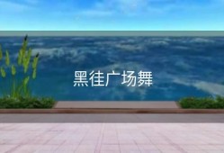 黑徍广场舞