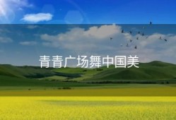 青青广场舞中国美