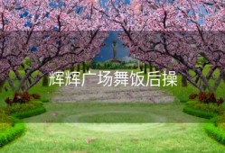 辉辉广场舞饭后操