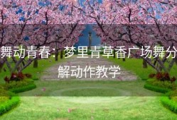 舞动青春：梦里青草香广场舞分解动作教学