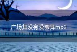 广场舞没有爱够舞mp3