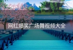 网红爆笑广场舞视频大全