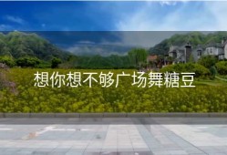 想你想不够广场舞糖豆