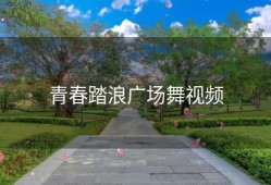 青春踏浪广场舞视频