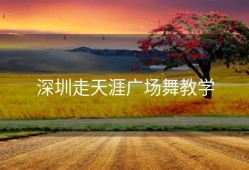 深圳走天涯广场舞教学