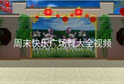 周末快乐广场舞大全视频