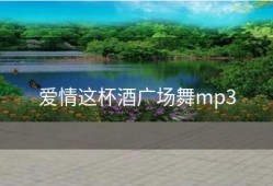 爱情这杯酒广场舞mp3
