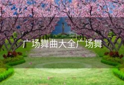 广场舞曲大全广场舞