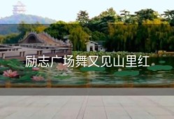 励志广场舞又见山里红