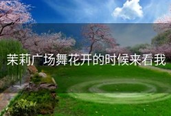 茉莉广场舞花开的时候来看我