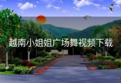 越南小姐姐广场舞视频下载