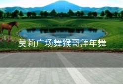 莫莉广场舞猴哥拜年舞