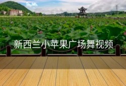 新西兰小苹果广场舞视频