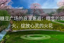 糖豆广场的浪漫邂逅：暗恋的烟火，绽放心灵的火花
