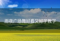 雨夜广场舞好看又好学教学