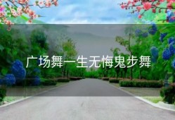 广场舞一生无悔鬼步舞