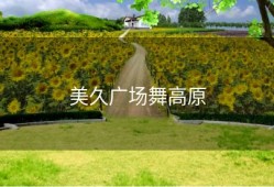 美久广场舞高原