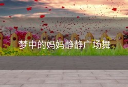 梦中的妈妈静静广场舞