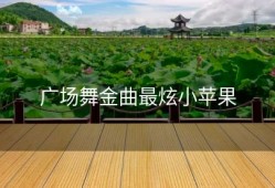 广场舞金曲最炫小苹果