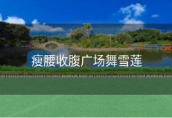 瘦腰收腹广场舞雪莲