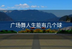 广场舞人生能有几个球