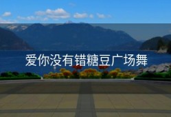 爱你没有错糖豆广场舞