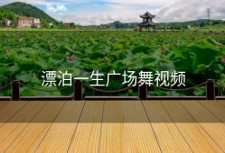 漂泊一生广场舞视频