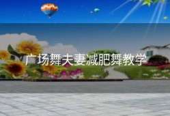 广场舞夫妻减肥舞教学