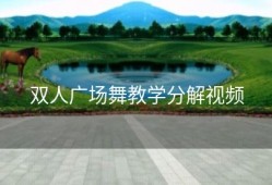 双人广场舞教学分解视频