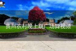 贵州农村晚上跳广场舞视频