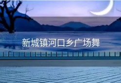 新城镇河口乡广场舞