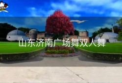 山东济南广场舞双人舞