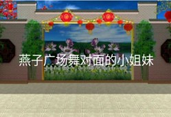 燕子广场舞对面的小姐妹