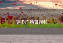 更多广场舞视频