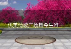 优美情歌广场舞今生唯一