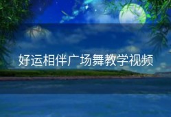 好运相伴广场舞教学视频